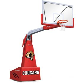 Portable Competition Backstops